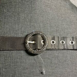 Mesh Metal Belt with Rhinestone Buckle NWOT